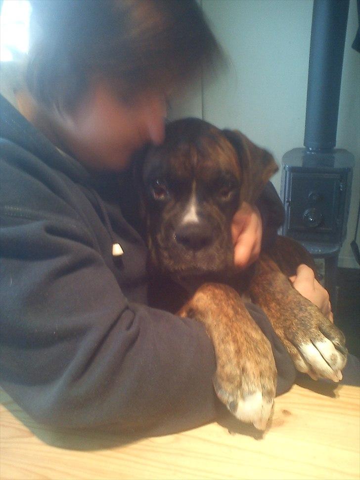 Boxer Tyson - Mig og min moster inden hun flyttede..  billede 8
