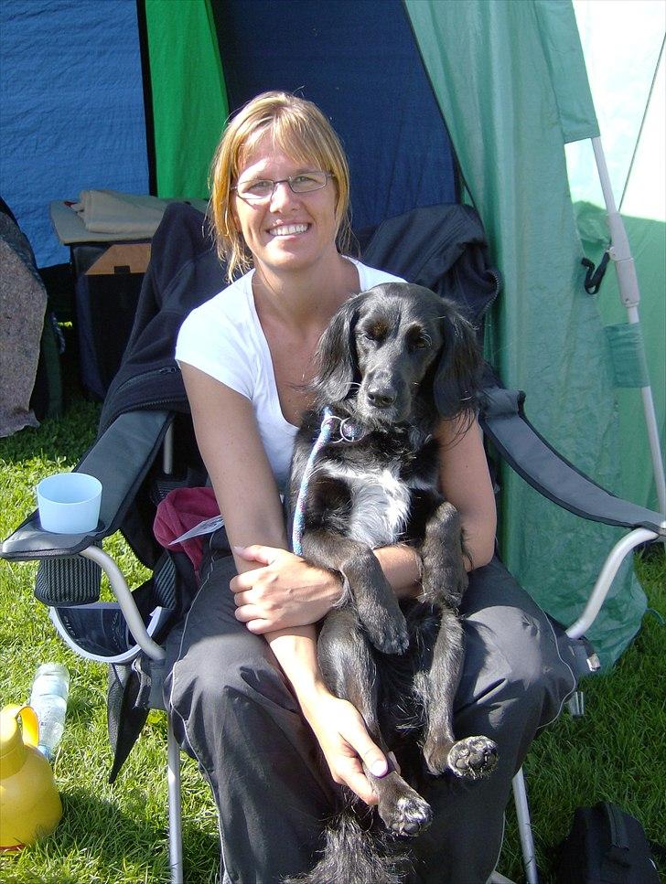 Blanding af racer Layney - Hygge ved agilitystævne billede 12