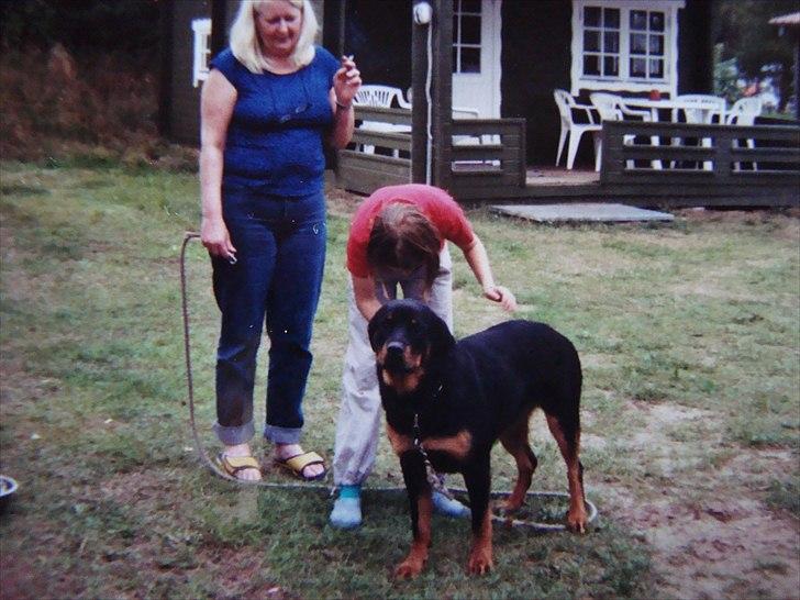Rottweiler Luna R.I.P. billede 13