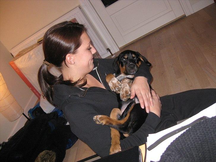 Blanding af racer Muffe billede 6