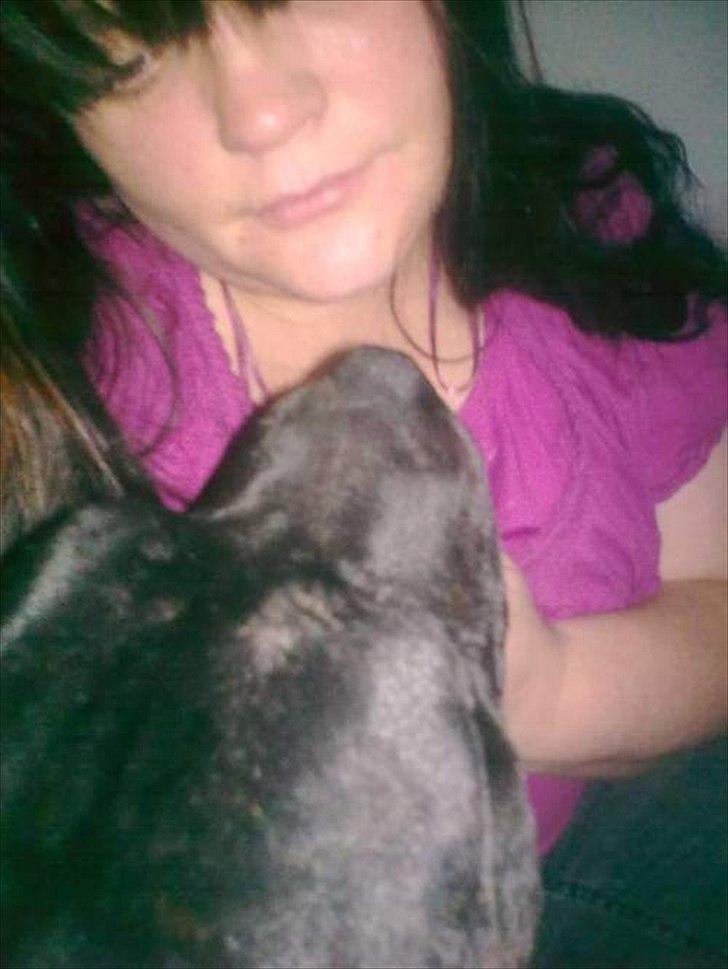 Staffordshire bull terrier Elvis  *R.I.P* billede 9