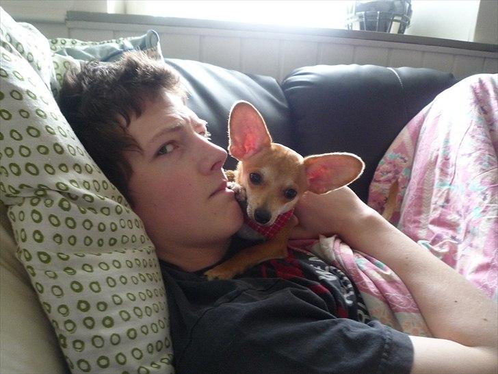 Blanding af racer Gizmo - De skønneste drenge! billede 9