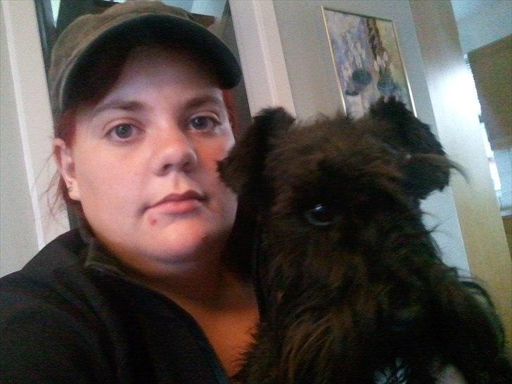 Dvaergschnauzer  codename cynthia hunni billede 6