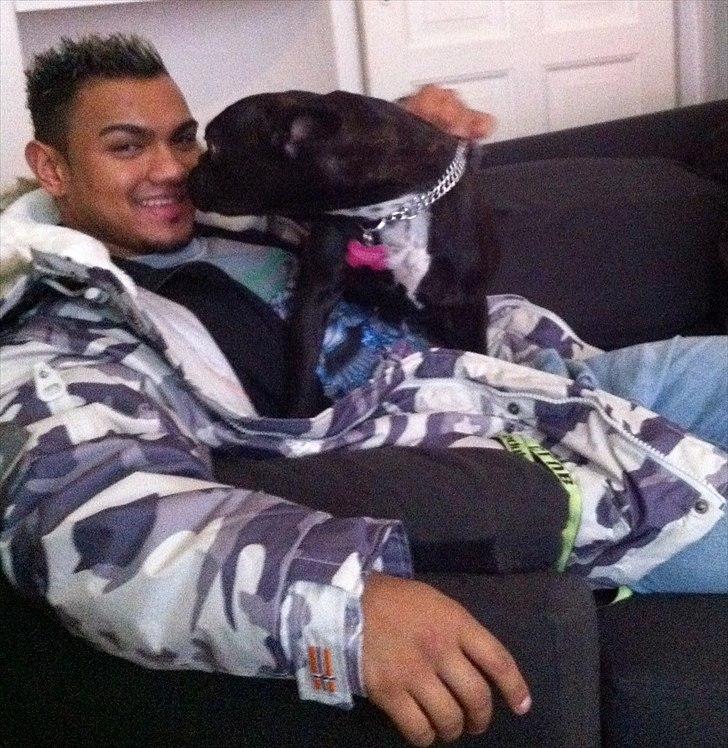 Fransk bulldog Mitzy - Mitzy Der er helt vild glad for Art :) billede 5