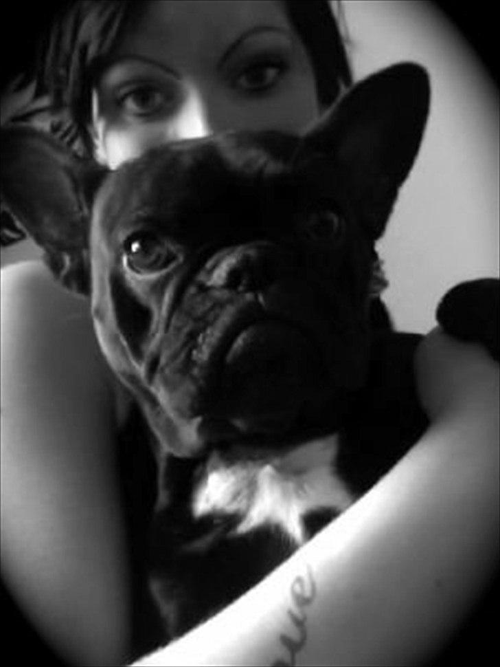 Fransk bulldog Mitzy - Mitzy og mig så sødt billede vi har i ramme derhjemme :) billede 7