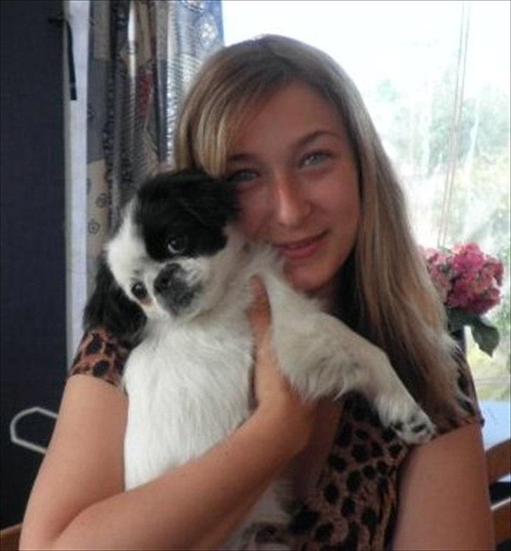 Japanese Tipo - Så er vi på camping. billede 3