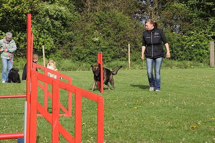 Blanding af racer Columbo "Oh, there's just billede 20