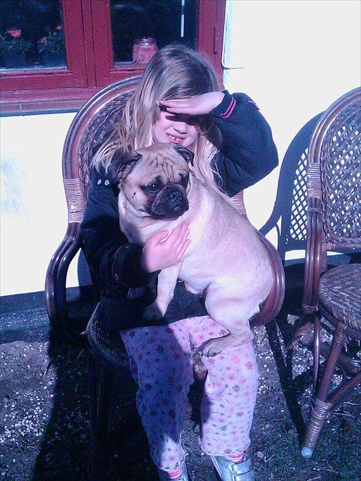 Blanding af racer Malthe - Nyt billede billede 17