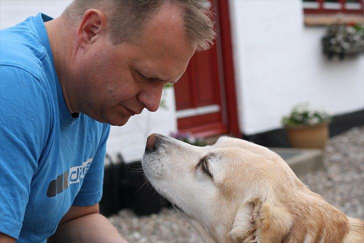 Blanding af racer Sille - Og så lige hen og snakke lidt med farmand (-; billede 13