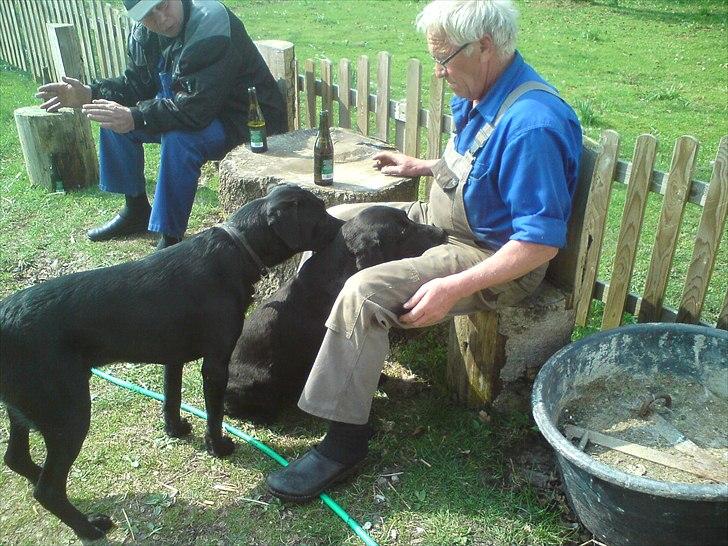 Blanding af racer Dennis - Kom nu Freja, leg med mig billede 4