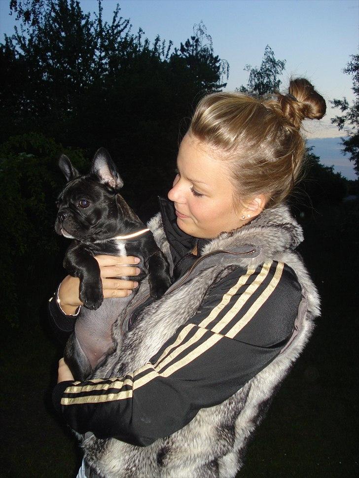 Fransk bulldog Tayson - mig og moster :)  billede 16
