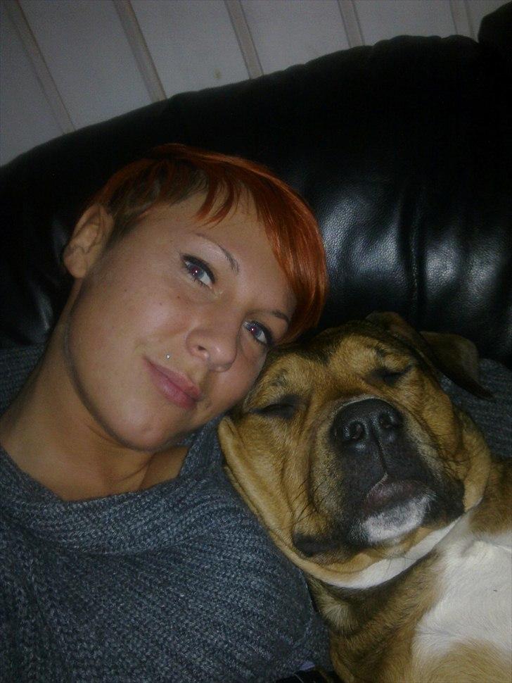 Blanding af racer Tino billede 11