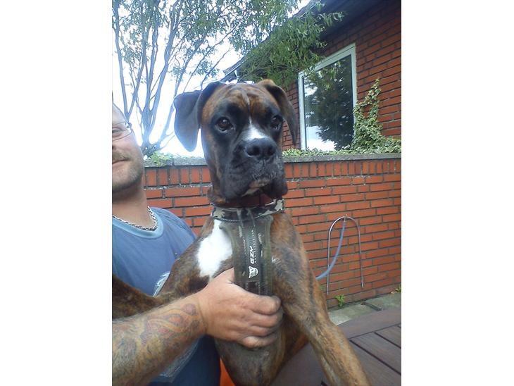 {{currentPhoto.altText}} billede {{currentPhoto.number}}