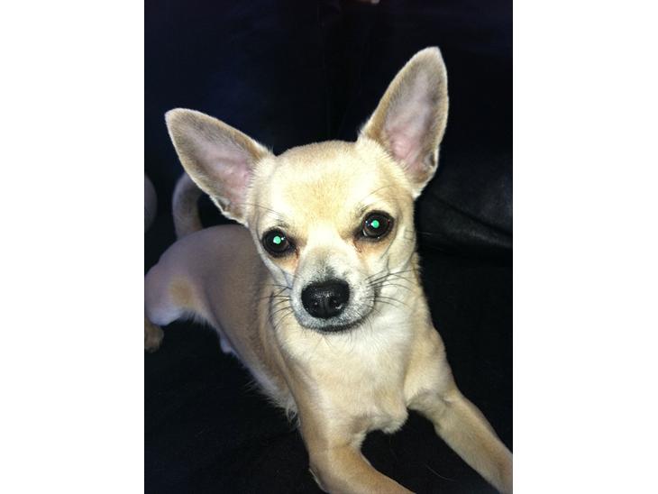 {{currentPhoto.altText}} billede {{currentPhoto.number}}