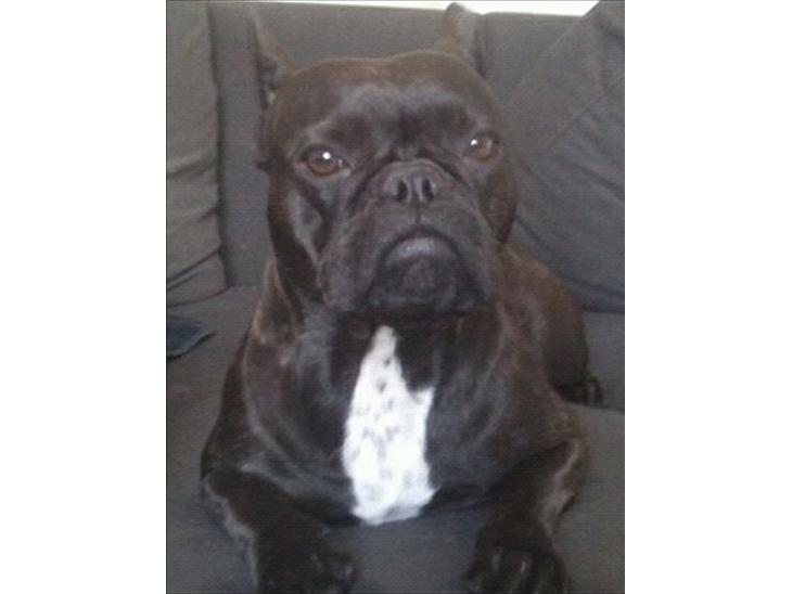 {{currentPhoto.altText}} billede {{currentPhoto.number}}