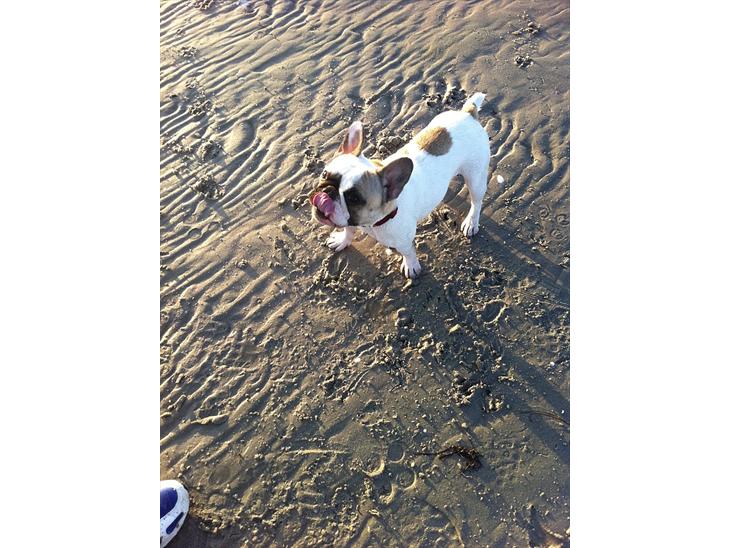 {{currentPhoto.altText}} billede {{currentPhoto.number}}