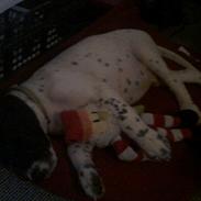 Blanding af racer rumle