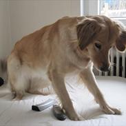 Blanding af racer nanna