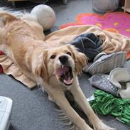 Blanding af racer nanna