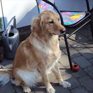 Blanding af racer nanna