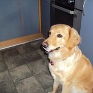 Blanding af racer nanna