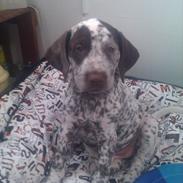 Blanding af racer Sonja 