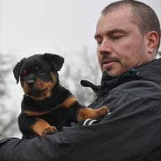 Rottweiler Fairmoors Amazing Grace