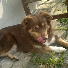 Blanding af racer May-Day