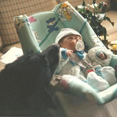 Labrador retriever King <3 R.I.P.