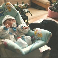 Labrador retriever King <3 R.I.P.