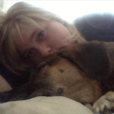 Blanding af racer Nova