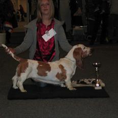 Basset hound Chelsea Pressburger Burger/Joy