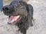 Blanding af racer Tess - 30/5-11