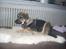 Blanding af racer Aya R.I.P min smukke engel.