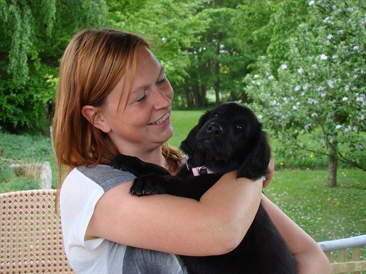 Flat coated retriever Zoey - Her er jeg sammen med hende jeg agerer skygge for...tænk sig om man blev væk... billede 4