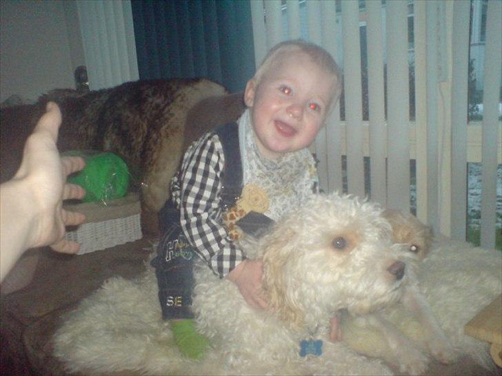 Blanding af racer Ricki tikki tavid - Ricki og min nevø Linus :) billede 12