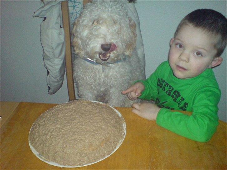 Blanding af racer Ricki tikki tavid - Ricki da han blev 4 år :) Og vores søn Oliver på 3 ½ år billede 16