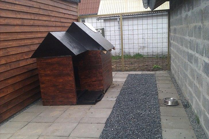 Dobermann Logan - Logans nye hundegård, som han ikke vil bruge.. Øv !!!  billede 12