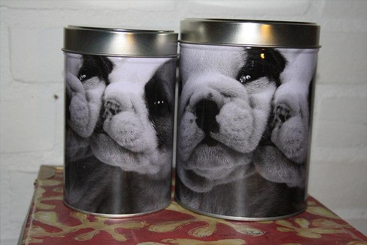 Engelsk bulldog Hertha. R.I.P 26-06-2012 billede 12