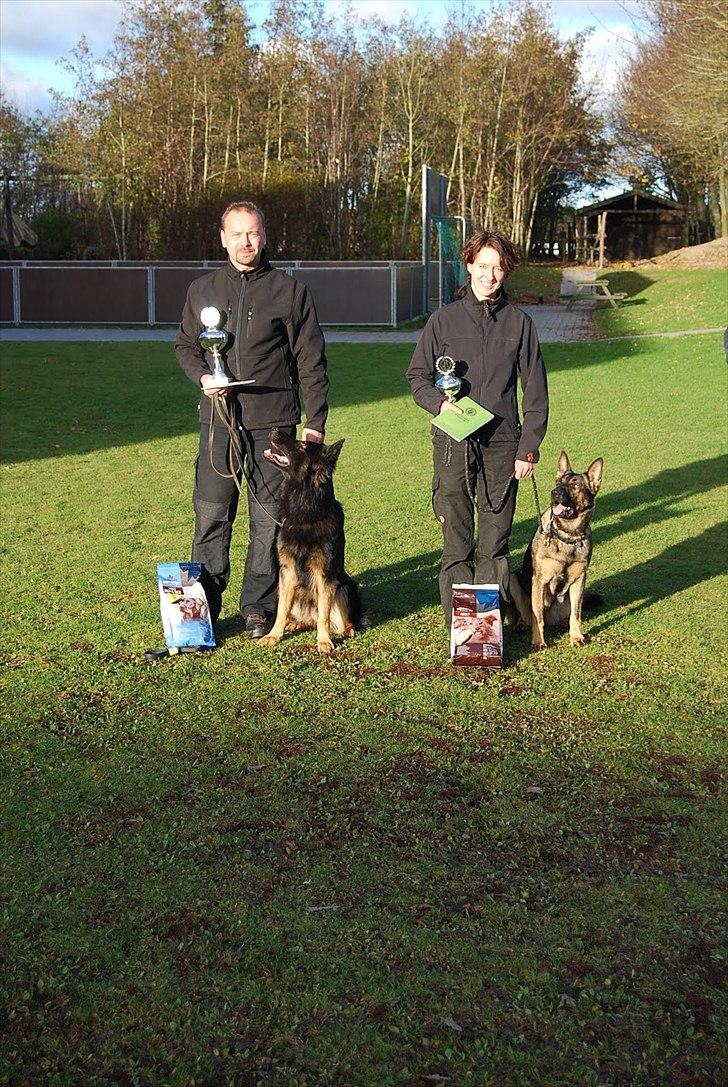 Schæferhund Creuf - Nr.1 ved unghundstævnet i Thisted. billede 11