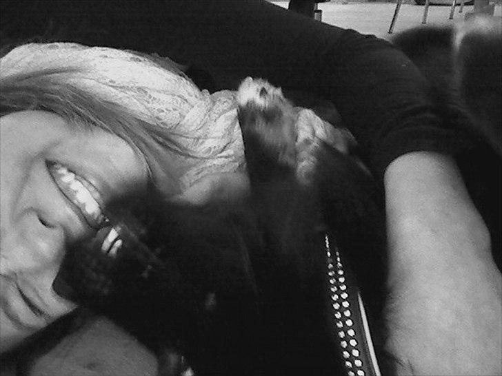 Islandsk fårehund TOFTEDALS KILJAN  ! <3 min bedste ven :')   - And if you ever forget how much you really meen to me, everyday I will remind you ! billede 16