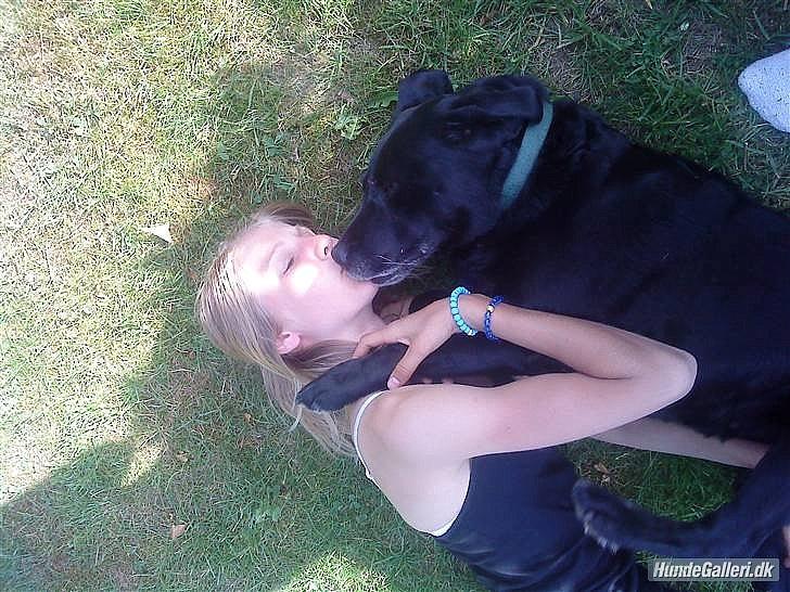 Labrador retriever Siggi - Siggi og Kathrine hygger.. 
Sommeren 09 tror jeg :-D. billede 4