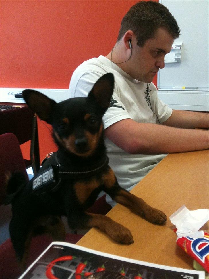 Blanding af racer Victor Zumbusch billede 17