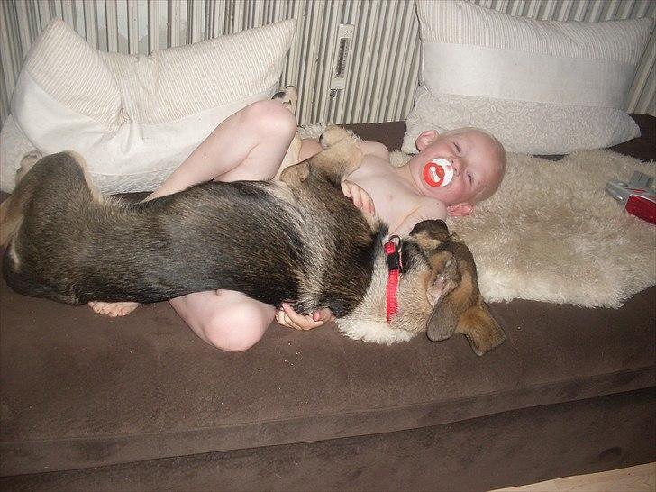 Blanding af racer Aya R.I.P min smukke engel. - Rå hygge... billede 3