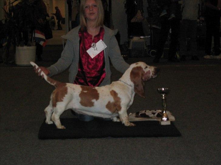 Basset hound Chelsea Pressburger Burger/Joy - Min ældste datter og Joy fik en 3.plads til deres allerførste juniorhandling :-) billede 2