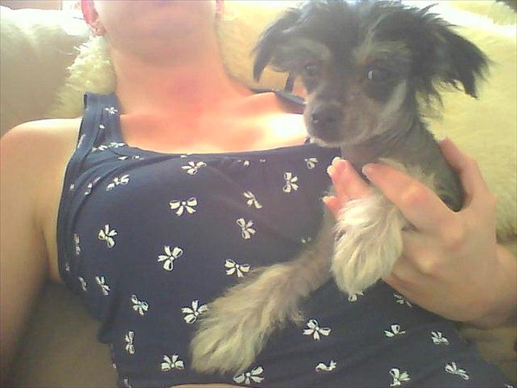 Blanding af racer Elliot billede 4