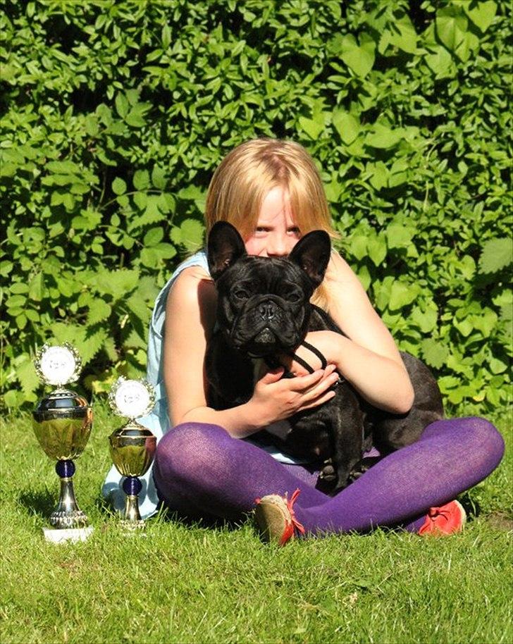 Fransk bulldog Rehab's Gyrinthe - Bøsøre 2011 billede 19