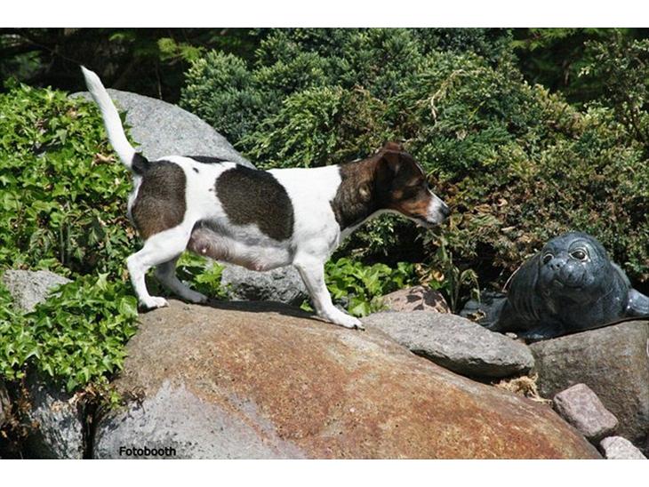 {{currentPhoto.altText}} billede {{currentPhoto.number}}