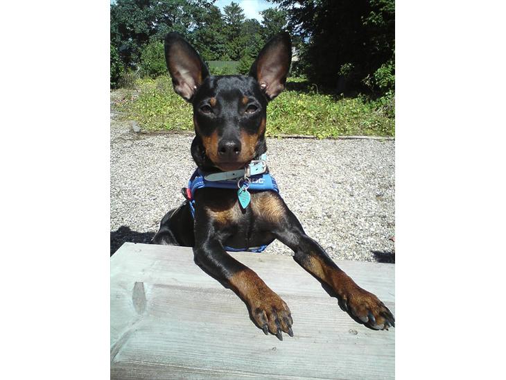 {{currentPhoto.altText}} billede {{currentPhoto.number}}