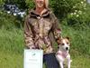 Jack russell terrier Vaks